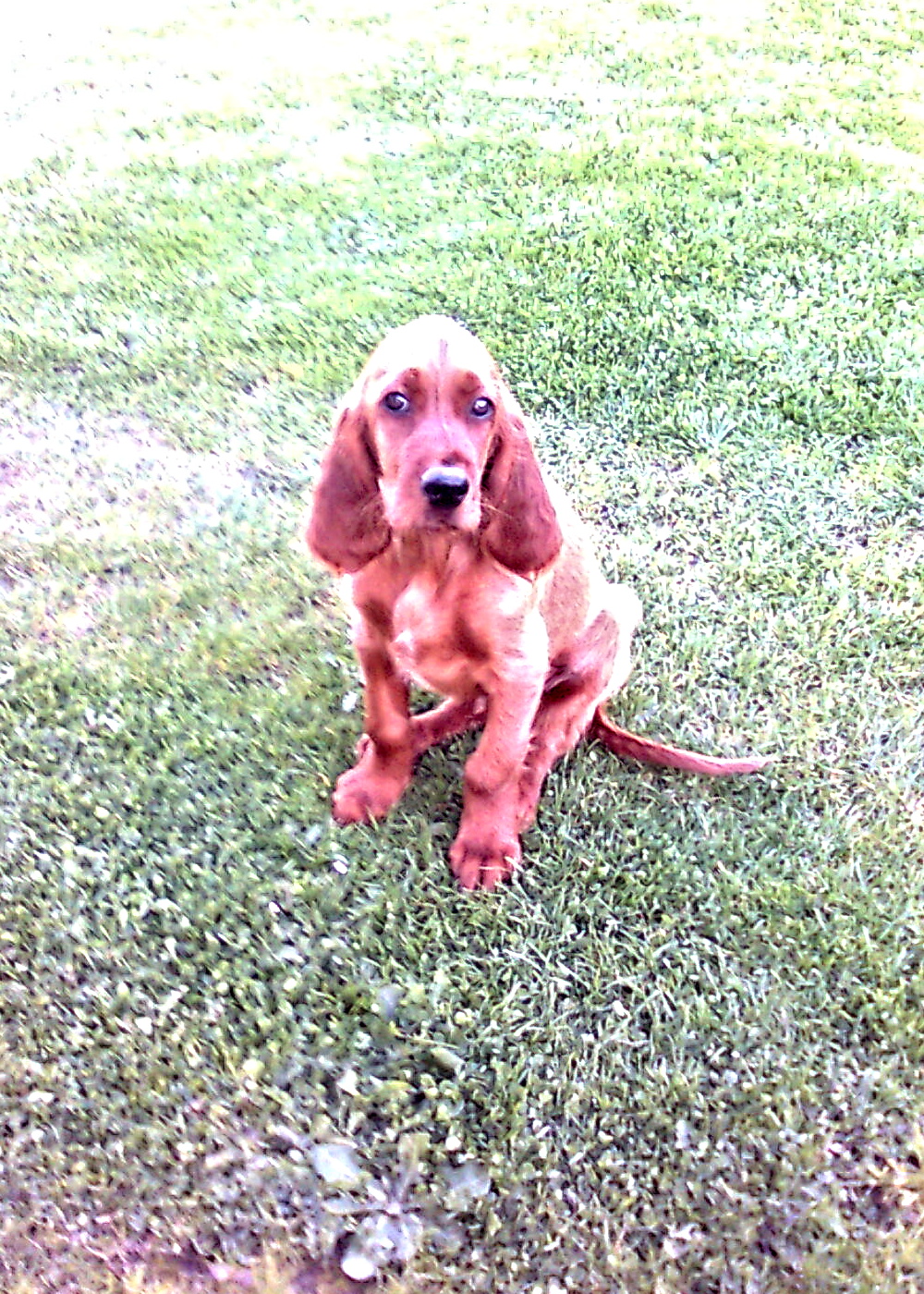 Já ještě za mlada...